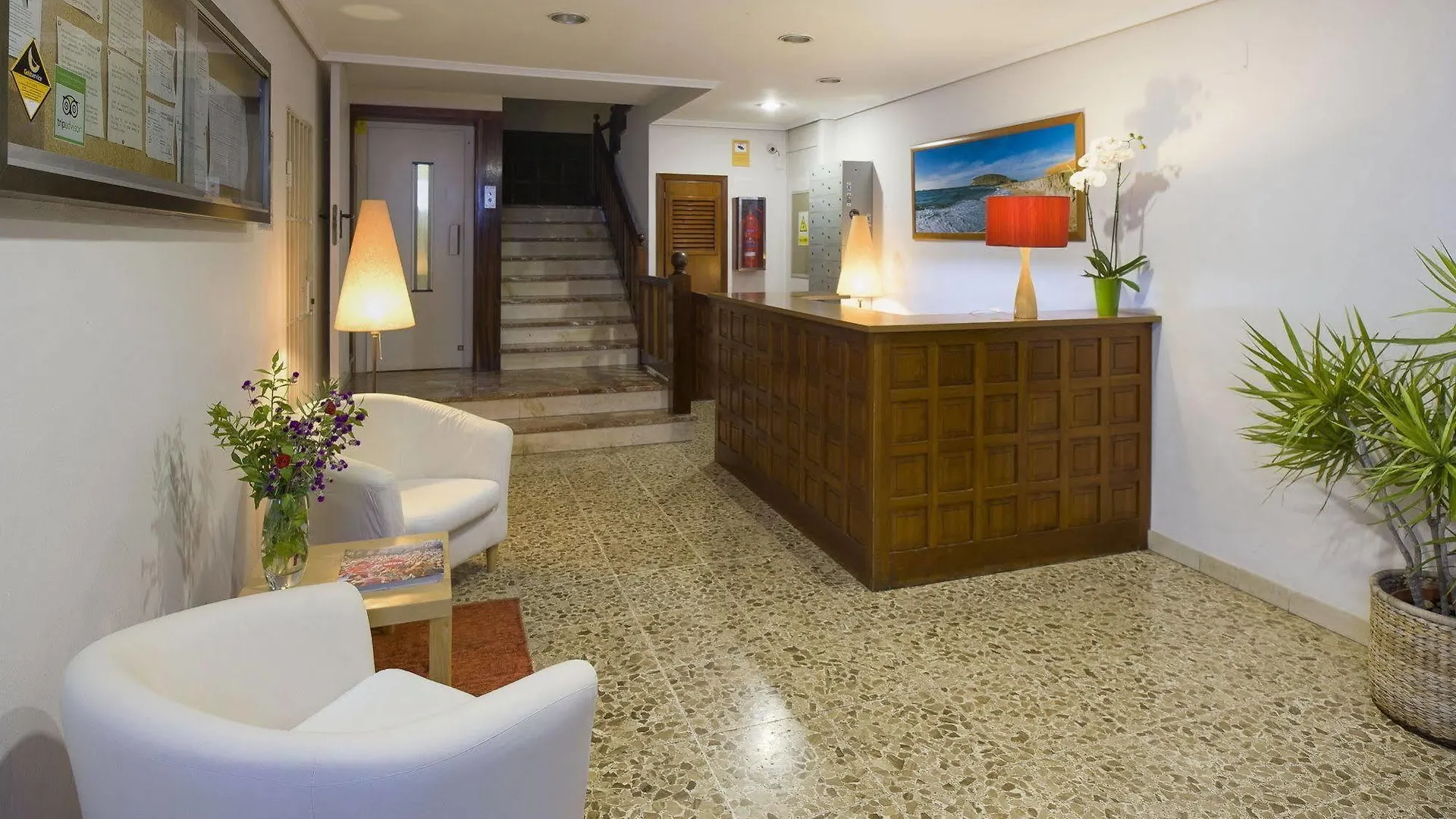 Apartamentos Cana Rita 샌안토니오 0*,